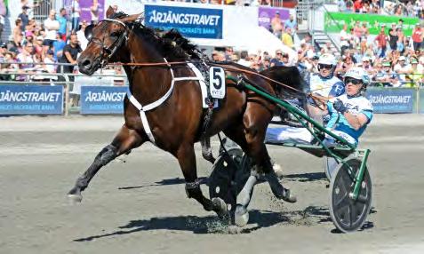 567 6 Am Bloodstock AB, Halmstad 736 97 11.590.728 7 Caldwell F V & Bluestone Farms LLC, USA 22 8 11.134.327 8 Hanover Shoe Farms Inc, USA 251 28 10.898.409 9 Allev. Kronos S.R.L. Soc Agr, Italien 310 64 10.