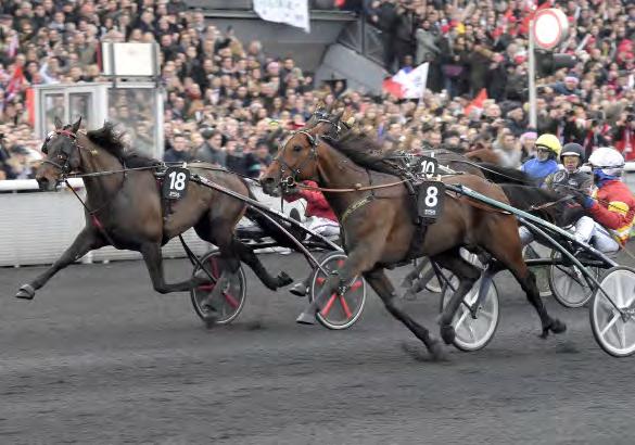 ÅRETS HÄST En redan klassisk målgång i Prid d Amérique 2018. Readly Express och Björn Goop kontrar ut Bold Eagle.