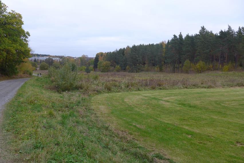 2 nedan, består jordlagerföljden generellt av 1-2 m torrskorpelera som underlagras av morän på berg. Figur 5.2 Område med torrskorpelera som underlagras av morän.