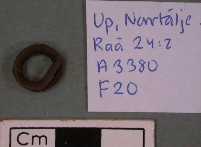 Ringen är täckt av torkad jord, helt integrerad med originalytan. Diameter; 11 mm.