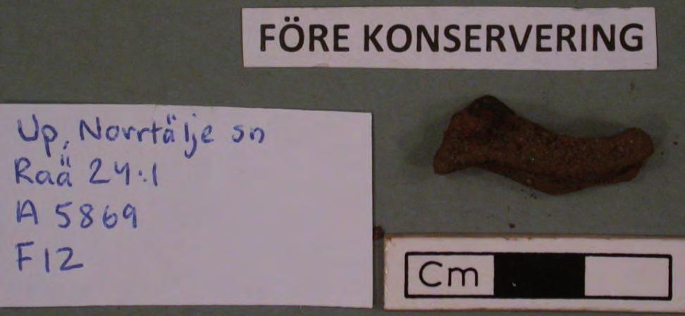 Fnr. 12 Fragment