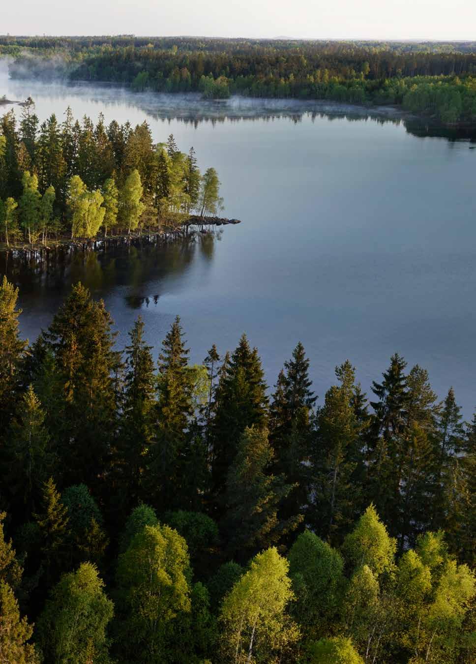 Affärsområden Södra Skog Södra Skog utvecklar skogsbruket för medlemmarnas bästa.