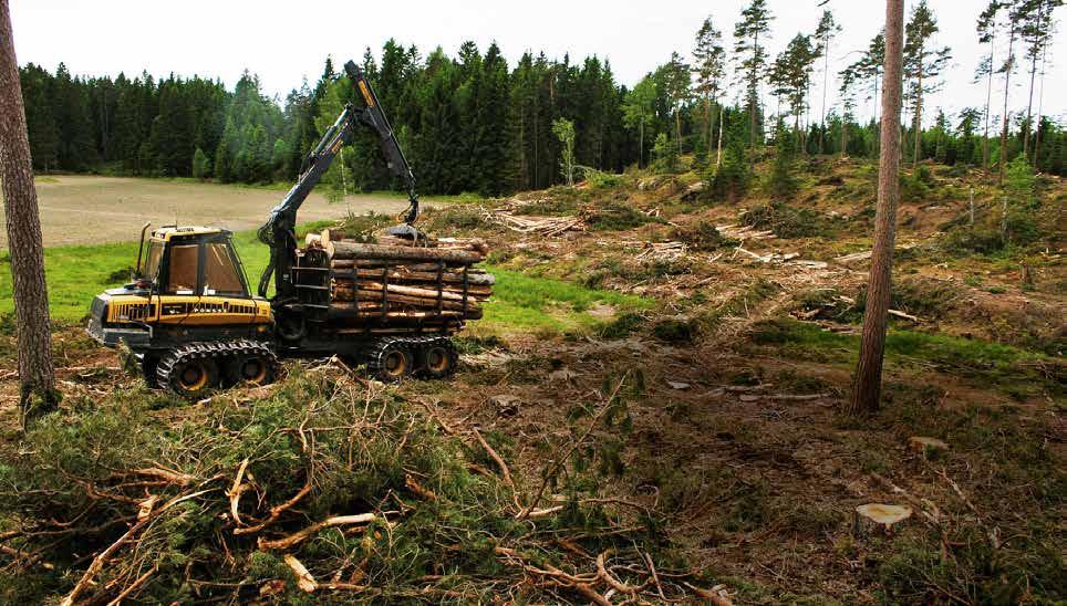 Hållbarhetsredovisning Hållbart skogsbruk Genom frivilliga avsättningar och generell hänsyn i samband med alla skogliga åtgärder strävar Södra och medlemmarna efter att väva samman produktion, miljö