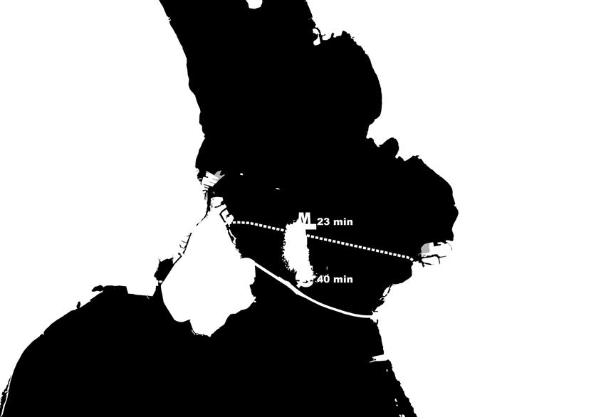 Öresundsmetro 23 min