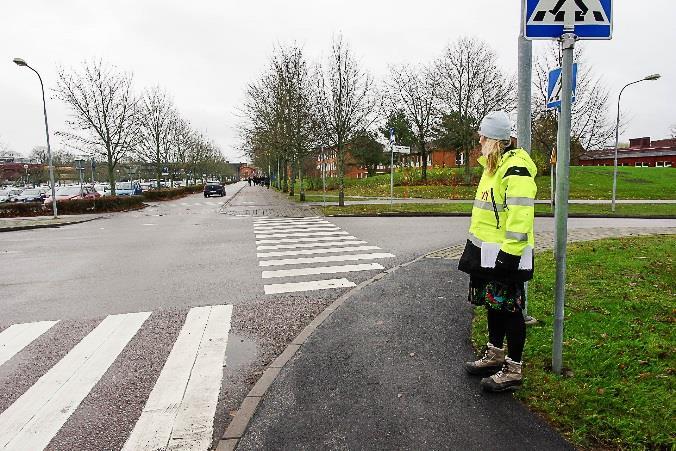 Petriskålar är placerade i linje med platsen för SOBO-mätningarna. Tre skålar är placerade 20 cm; 60 cm respektive 140 cm från asfaltkanten på vardera sidan gång- och cykelvägen.
