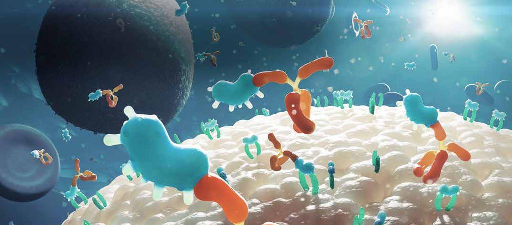 Innovation Emapalumab (i orange) är godkänd i USA som världens första godkända behandling mot primär HLH, en livshotande immunsjukdom.