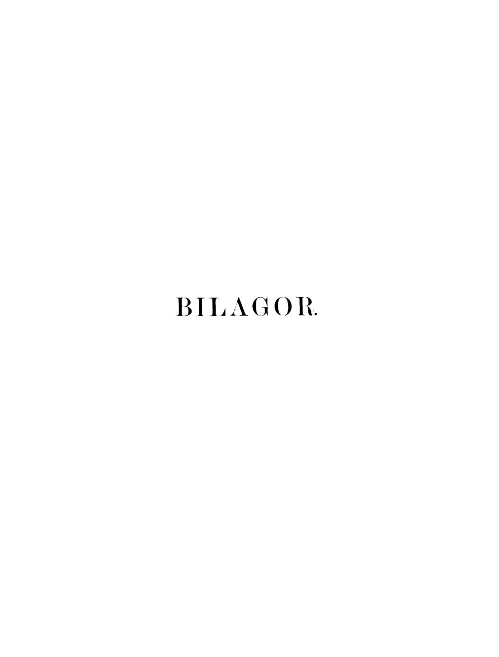 BILAGOR.