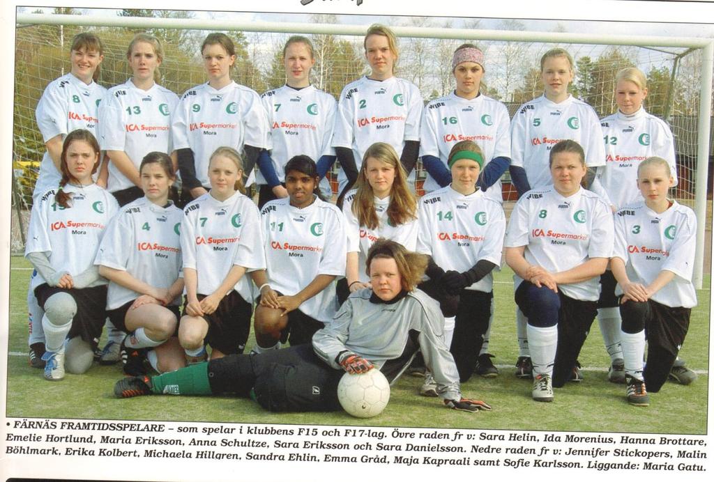 Fakta om Färnäs SK 2004. Bildad: 27 november 1932. Verksamhetsgrenar: Enbart fotboll 2004. Medlemsantal: Ca: 1 400. Herrfotboll: Division V.