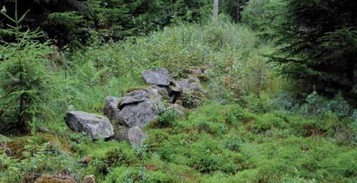 Den öppna marken beror på att skogen gallrats här. Muren fortsätter flera hundra meter åt nordväst. 4.