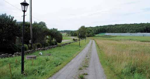 7. Stenmur Stenmuren sträcker sig ca 100 meter i öppen mark.