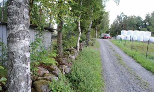 9. Stenmur Ca 100 meter äldre välbevarad stenmur på södra sidan