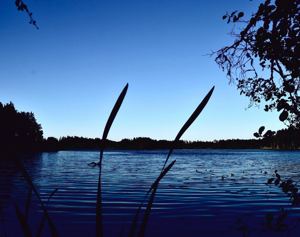 PriorNilsson Fonder Årsberättelse 2018 Äkta