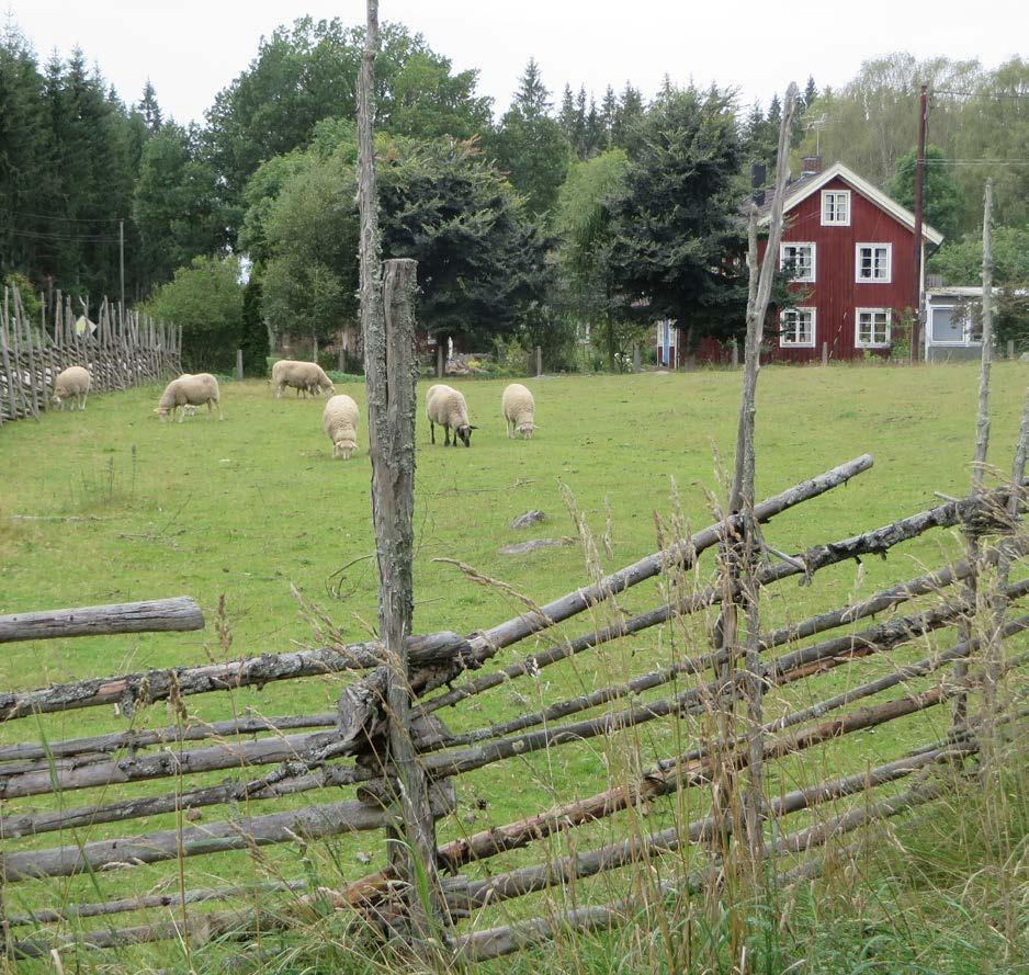 de ytan benämns som annan träd- och/eller buskbärande hagmark och har givits klass 3. I bykärnans östra och södra delar har tre ängs- och hagmarker pekats ut i länsstyrelsens inventering.