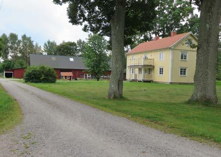 Här kan finnas växter och djur av stort värde, men också