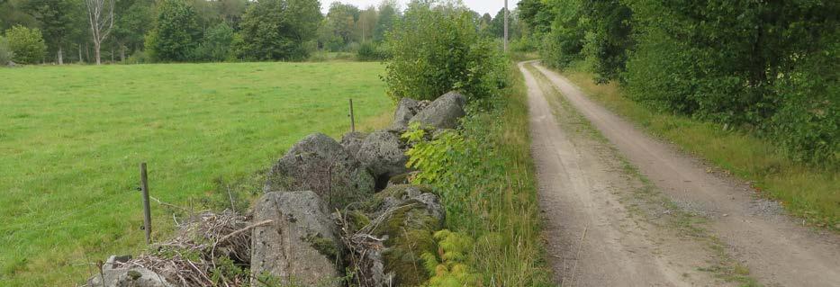 Här kan finnas rester av linugnar, jordkällare, jordkulor,