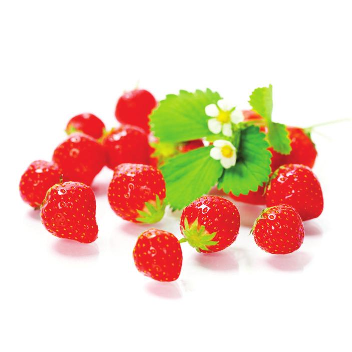 VISIR AKTUELLT Ordföranden har ordet Önskar alla en skön sommar! Vårt land har en tid badat i sommarvärme, sol, blommor och fågelsång.