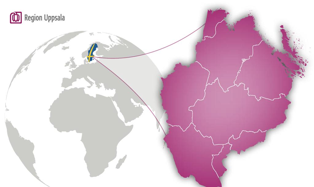 Styrsystem Regionen ska stärka sin konkurrenskraft och sin position som globalt attraktivt