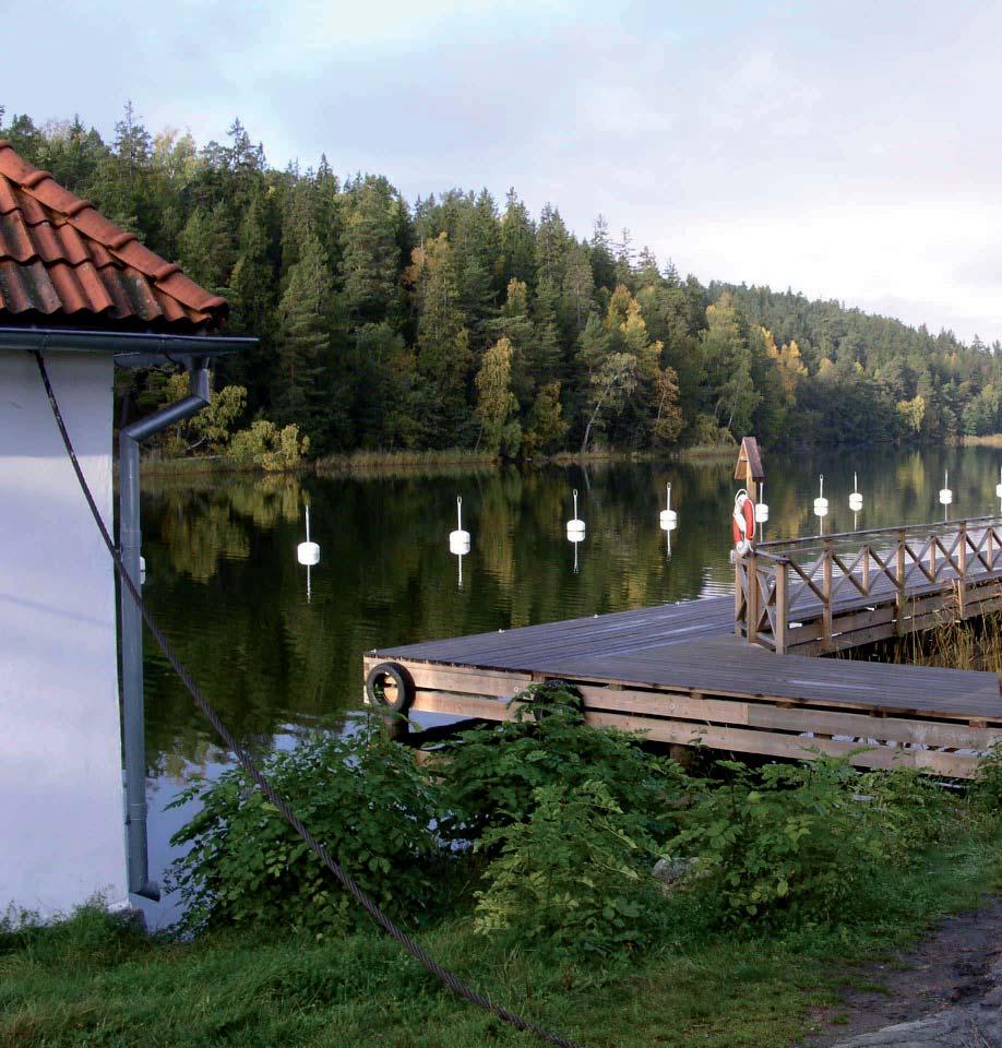 Åtgärdsprogram för
