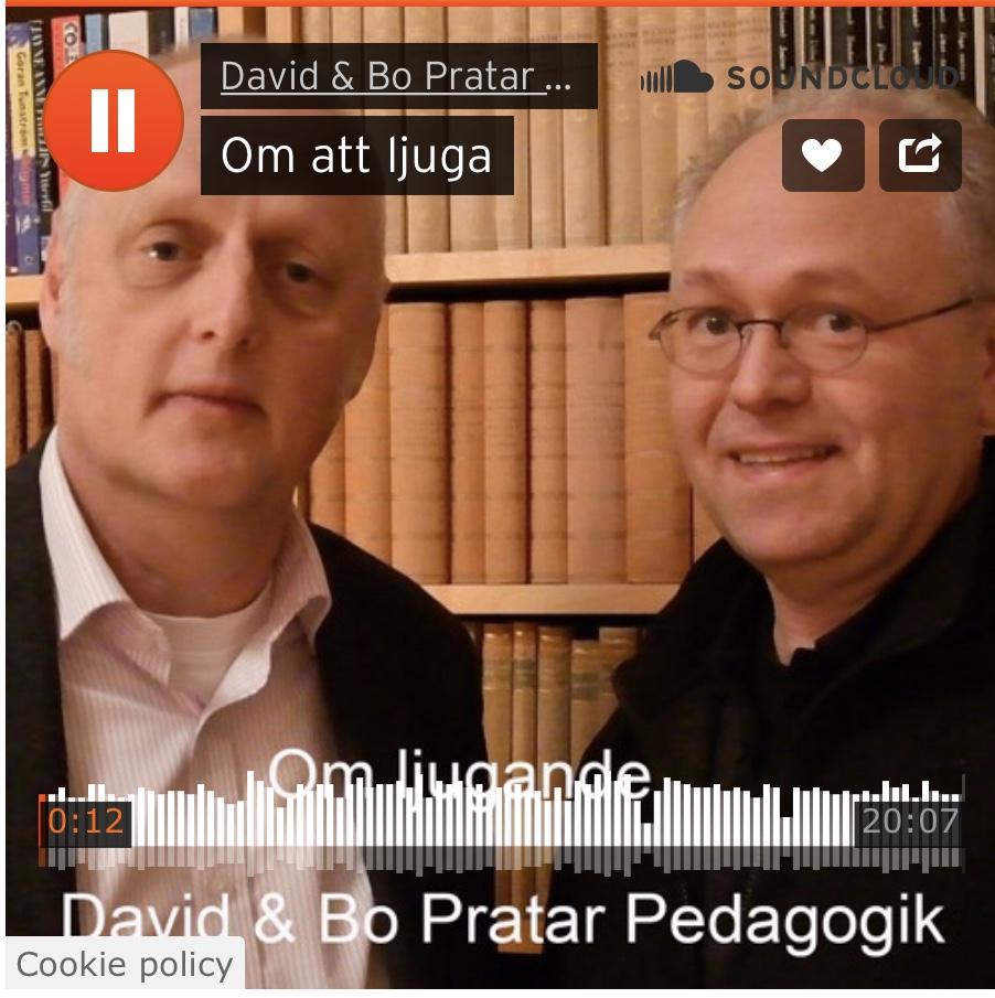 rar med föräld vasamverkan samverkan med vårdnadsha är Lågaﬀektivtande erbjuda en ingång ikring bemötande lågaﬀektivt skrifter: David Edfelt, leg psykolog Cajsa Jahn Malin Reuterswärd ATT FÖREBYGGA