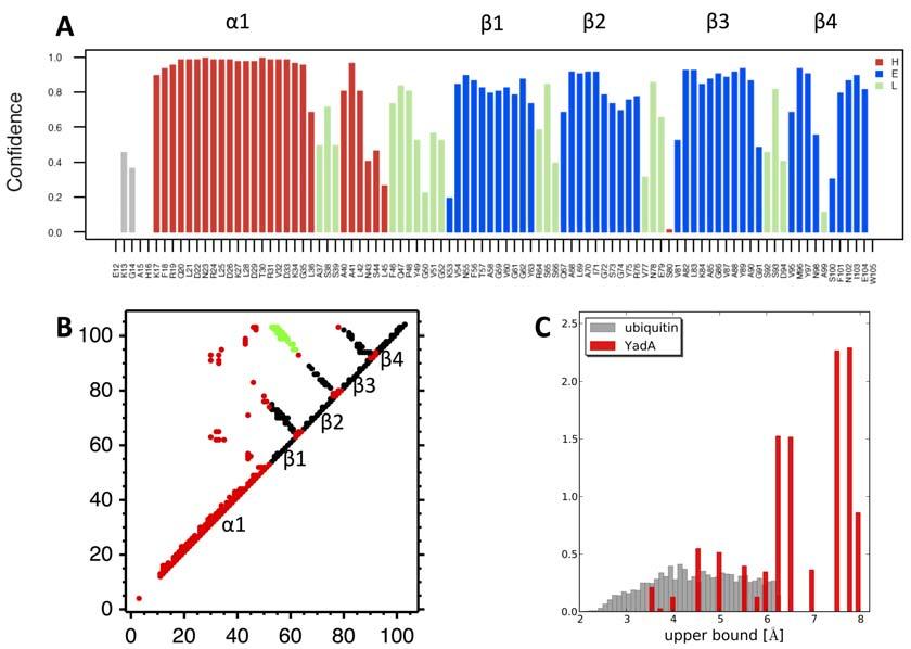 Figure A: Secondary structure topology and distance restraints. (A) Secondary structure prediction confidence.