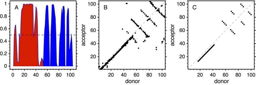 Figure E: Secondary structure inferred from the monomer ensemble. (A) Posterior probability of secondary structure (red: helix, blue: beta-strand).