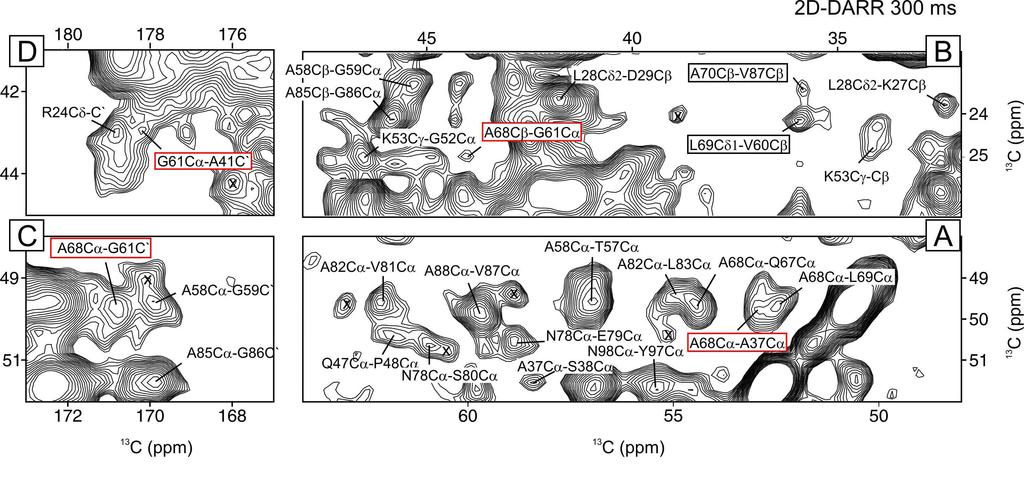 Supplementary Note 4: Side chain interactions Contacts between the stretch of small helical residues and beta barrel residues Contacts between the stretch of small helical residues with the ring of
