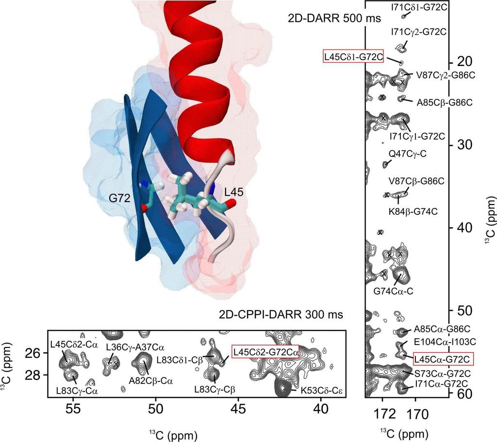 X-ray crystallographic studies have shown that sulfoxide complexes show intramolecular, non-covalent S O close interactions.