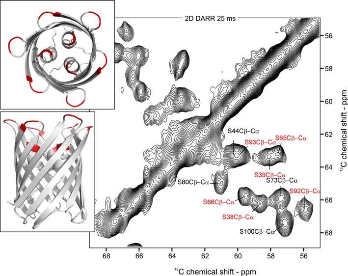 Figure E: Contour plot of a 2D 13 C- 13 C DARR showing the serine region of the spectrum (right panel). The assignment of the ten observable serines is indicated.
