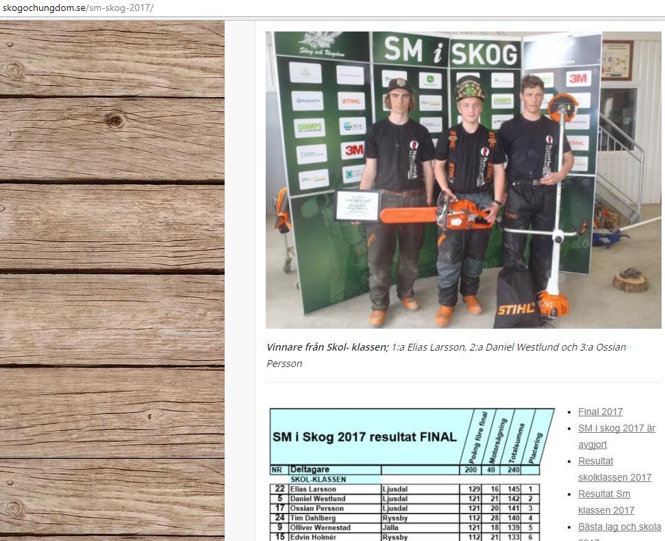2017 gick det riktigt bra för våra elever i SM i SKOG Daniel Westlund, Elias Larsson och Ossian Persson från naturbruksprogrammet på Slottegymnasiet krossade