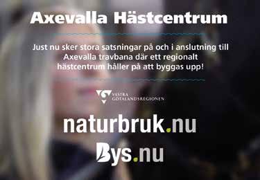 axelparti och svart ärm; silv Eri So Hd /0- /0n 0,a cc 0' Jepson Carl Johan (Mar Er) Jep CJ Å /- /0, cc 0' STORA HÖKHULT 0:, M Tot: 0-0-0.00,skm.v.e Neon P.E. - : 0-0-0 : 0-0-0, 0.