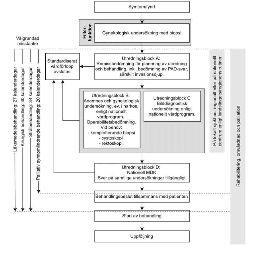 KAPITEL 8 Diagnostik 8.