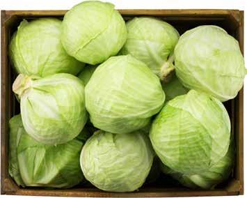 16)= /st 129k/kg 149k/kg LAGRAD OST Coop