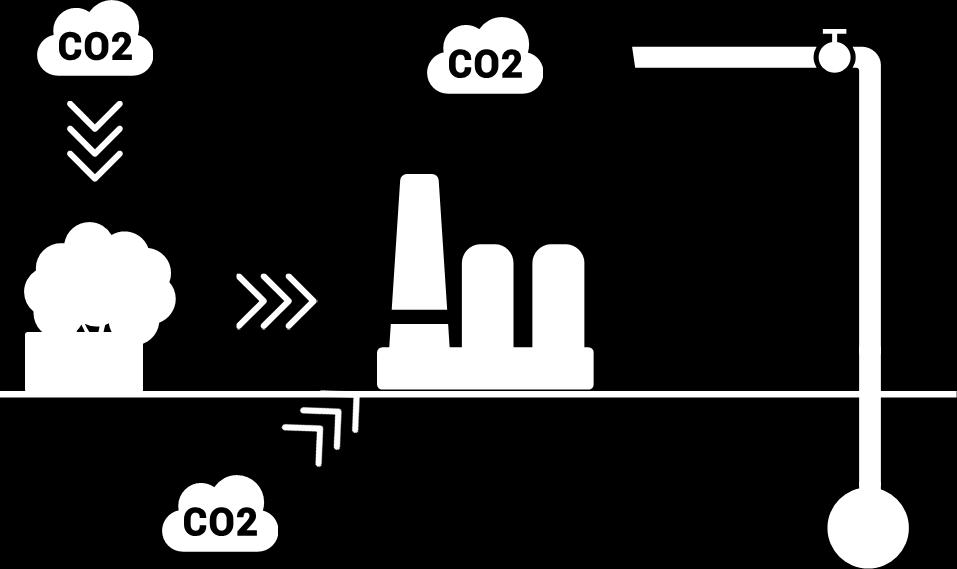 12.2 Bio-CCS och CCS Koldioxidavskiljning och -lagring (Carbon Capture and Storage, CCS) är en teknik som handlar om att avskilja, transportera och lagra koldioxid permanent under marken.