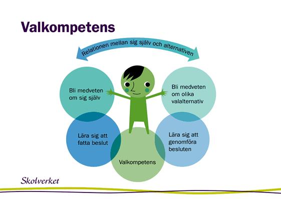 SYV i snäv bemärkelse är den personliga vägledning som studie- och yrkesvägledaren ger i from av vägledningssamtal, individuellt och i grupp.