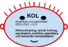 KOL-centrum