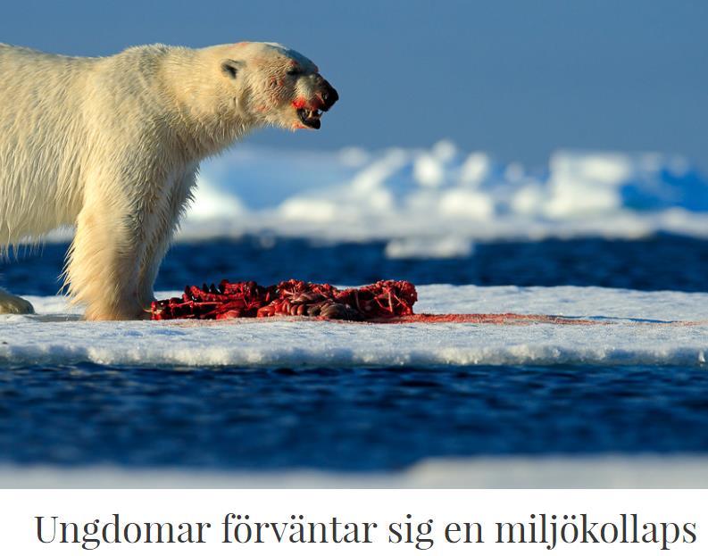 Varför bryr vi oss om elevernas intresse för NO?