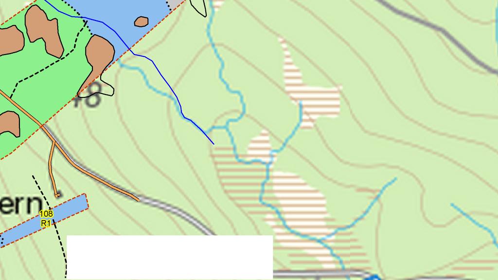 Kalmark/föryngring Röjningsskog