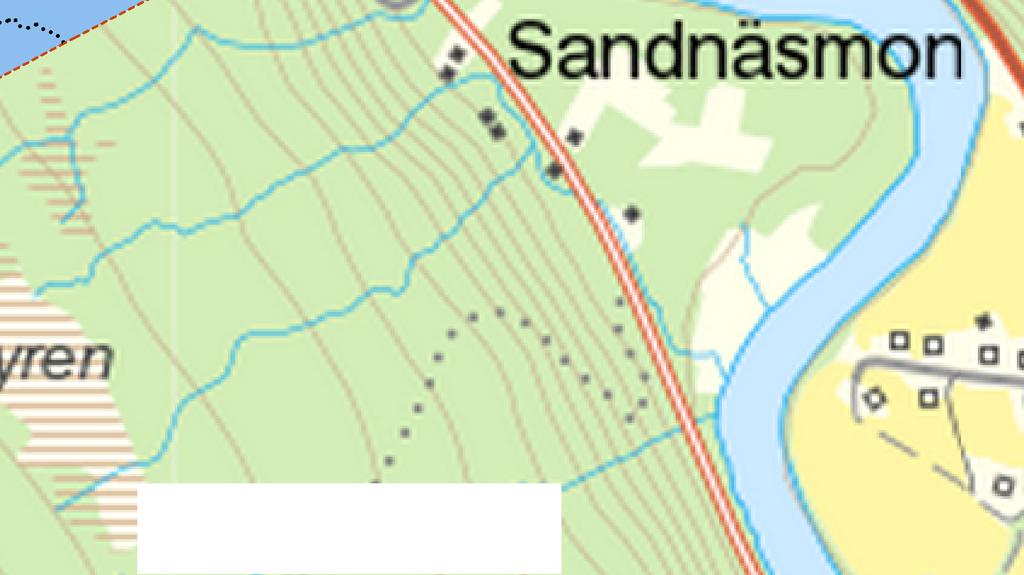 Kalmark/föryngring Röjningsskog