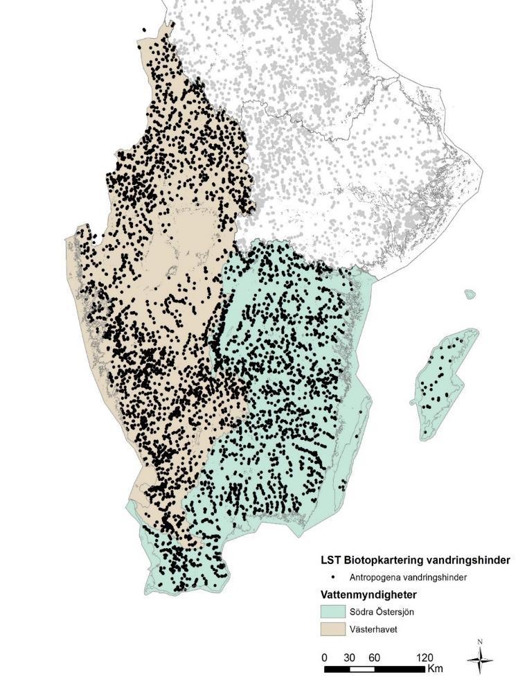 prioriteras för åtgärder?