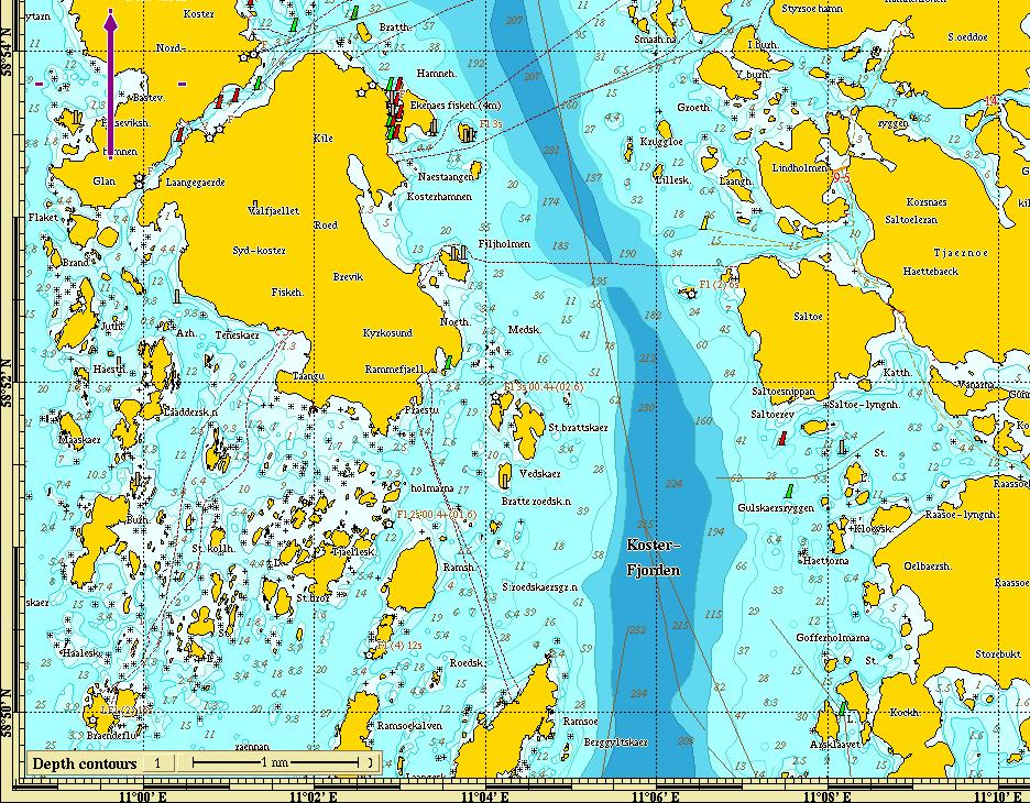 RESULTAT - ST BRATTSKÄR 5.4 ST. BRATTSKÄR Sydkoster Flora och fauna redovisas med täckningsgrader i Bilaga 4.