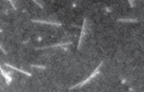 8 0 10 Distance/μm (f) Intensity/arb.unit 1 0.
