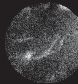 unit 1 FWHM 900 nm 0 5 μm 0 1 2 Distance/μm 3