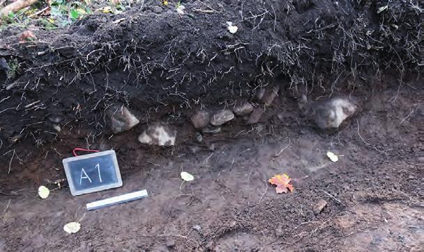 Norr därom fanns en förhistorisk anläggning i kanten av schaktet (A1). Den syntes 0,2 m ned under markytan och var 0,35 m djup.