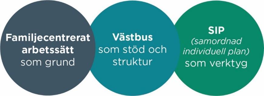 En väl fungerande samverkan kräver tydlig organisering samt ett tydligt system vad gäller arbetsfördelning och rutiner. Dessutom främjar ett familjecentrerat arbetssätt god hälsa hos barn och unga.