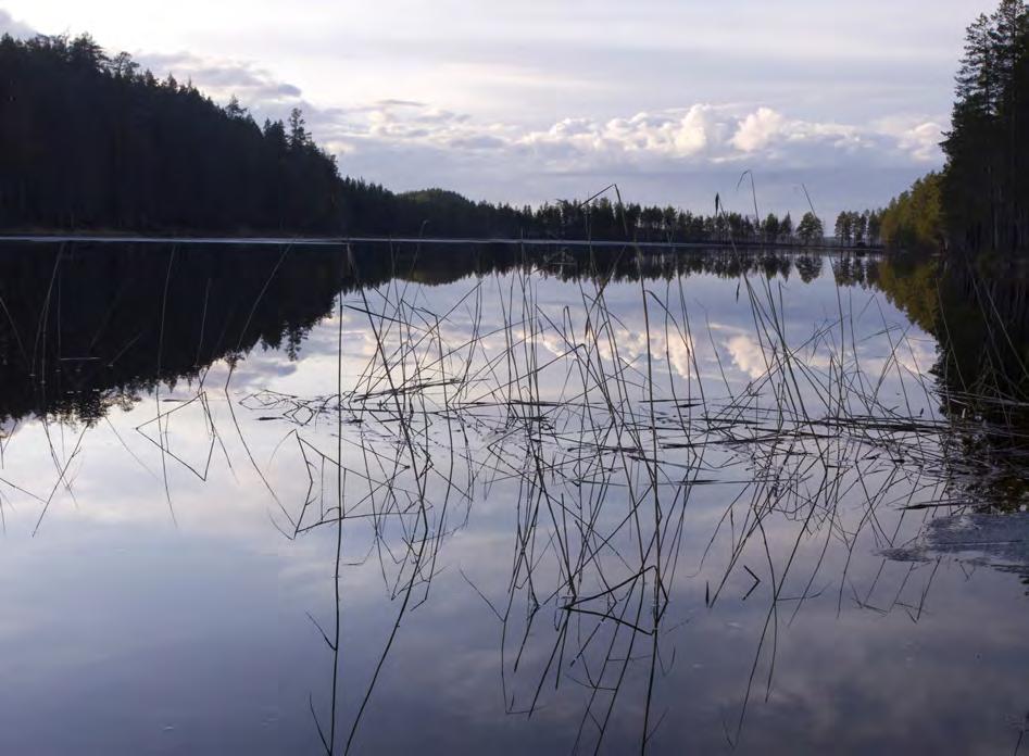 Skogslandskapets vattenmiljöer Naturvårdssatsningen i ekoparksplanen avser i första hand skogsmiljöer, men berör även ekoparkens olika vattenmiljöer.