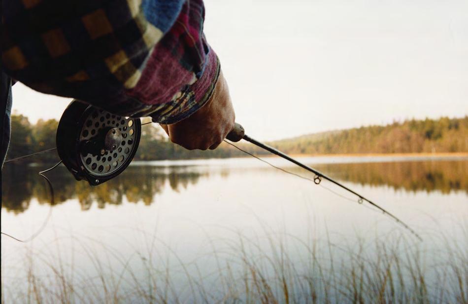 8. Jakt och fiske I hela Norrland utgör jakten en mycket viktig del av livet för många människor. Det är en viktig källa för rekreation, umgänge och uteliv.