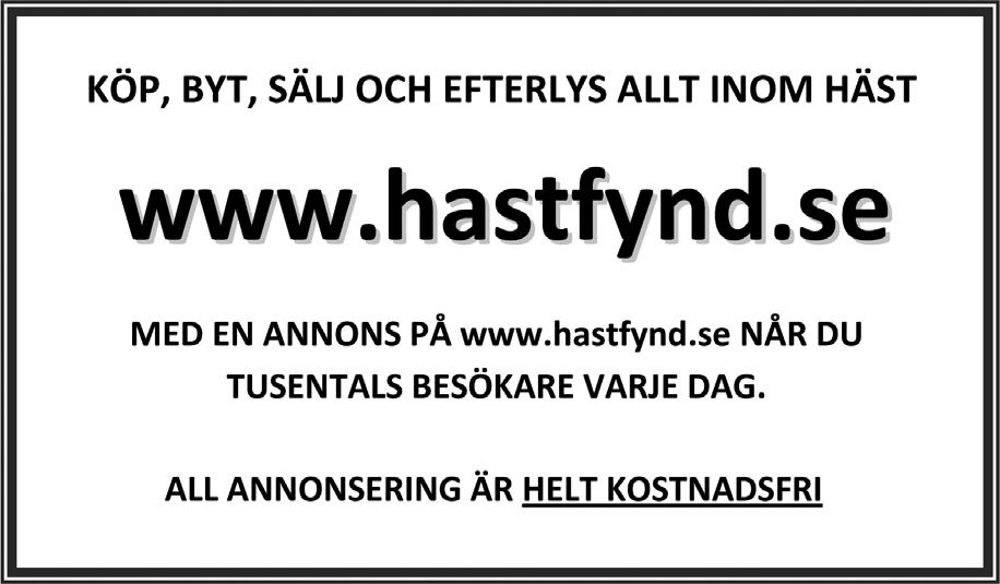 CONNEMARA (1 st) KLASS 11 4-12-åriga ston som ej fölat/ska föla 2011 (1 st) kl.16.35 61. STENEBACKENS JEZZIE RORY RC 1384 33-06-5693 sto född 2006 hos Maria Johansson, Kumla. gbr, bls e.
