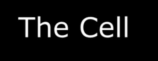 The Cell cycle delay hypothesis (Barrenäs, Nylén,