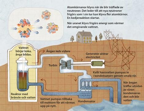 Kärnkraft I ett kärnkraftsverk finns ett antal reaktorer där kärnenergi omvandlas till elektrisk energi.