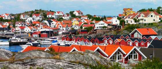 Förvaltningsberättelse Simplicity Småbolag Sverige Fondens utveckling under året Simplicity Småbolag Sverige hade en avkastning på -0,2 % vilket var bättre än förändringen i fondens jämförelseindex
